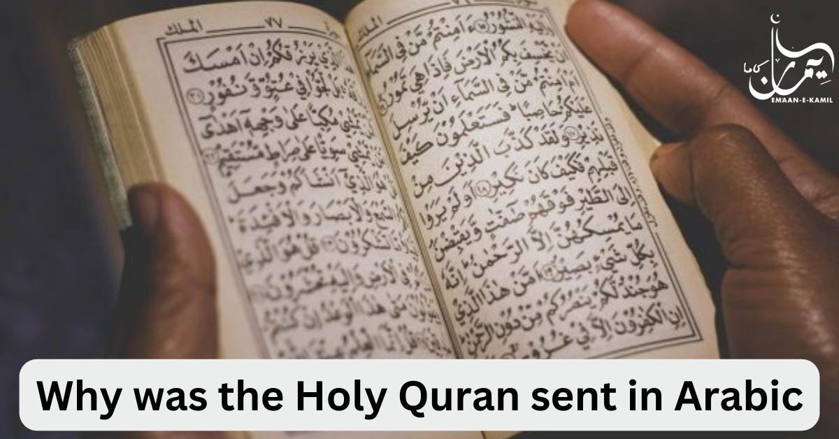 Why was the Holy Quran sent in Arabic