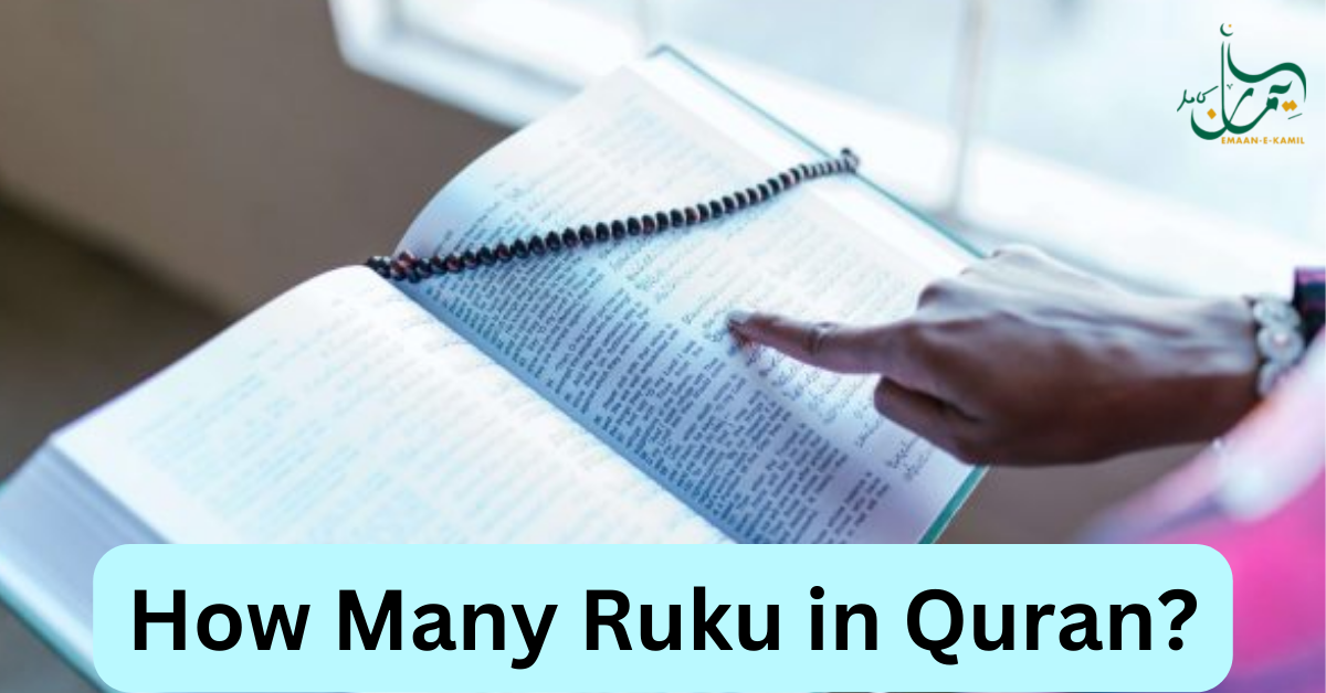 How Many Ruku in Quran?