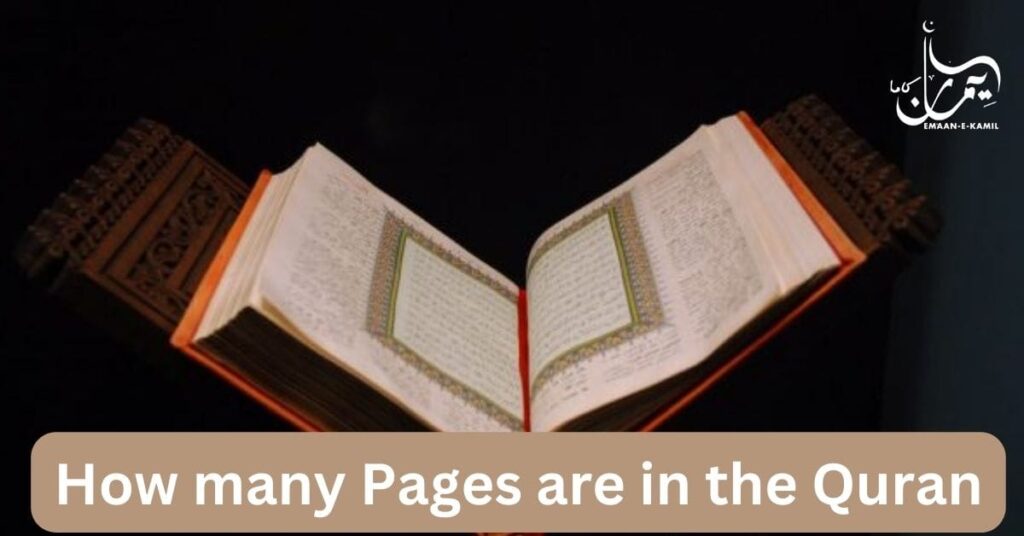 How many Pages are in the Quran